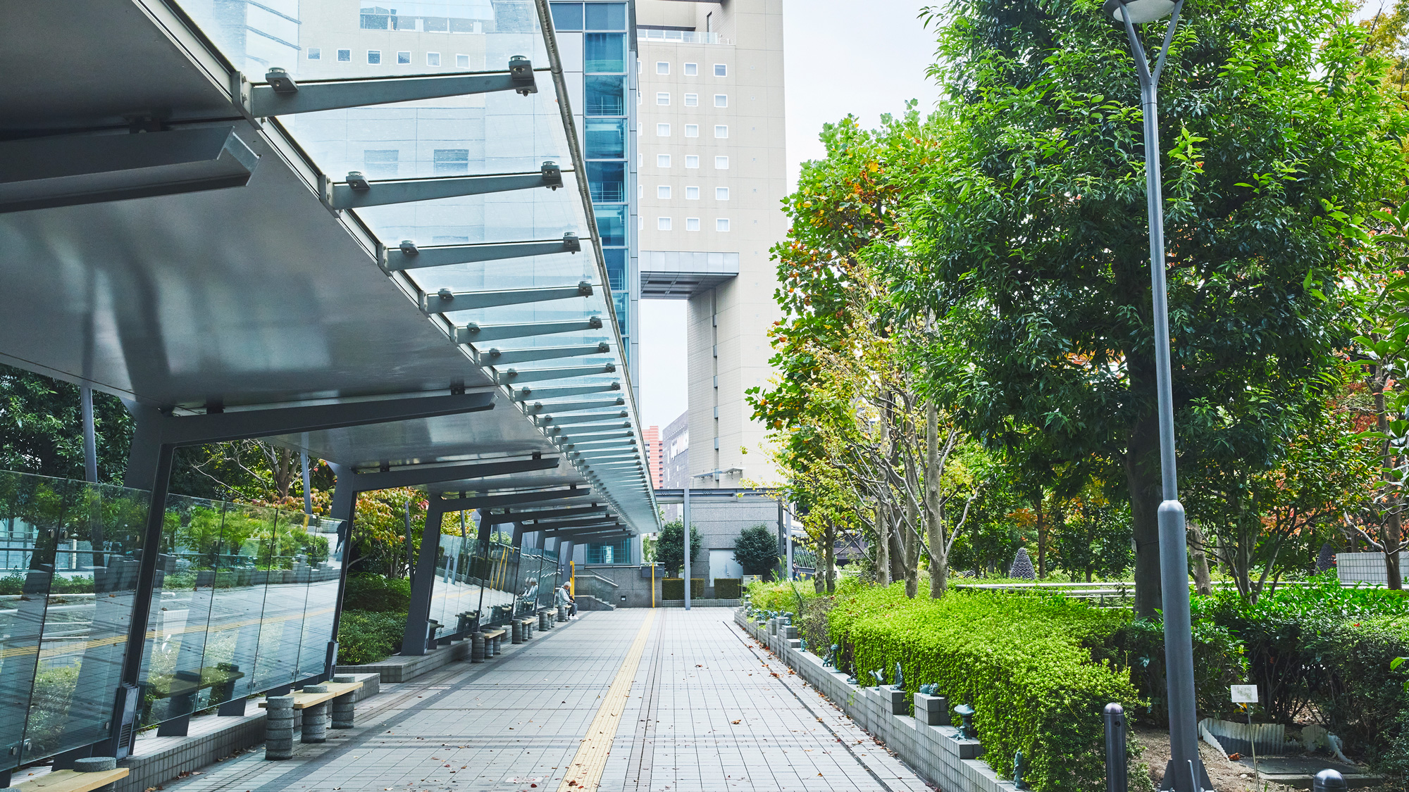 5：屋根のある道を約50m進みます。