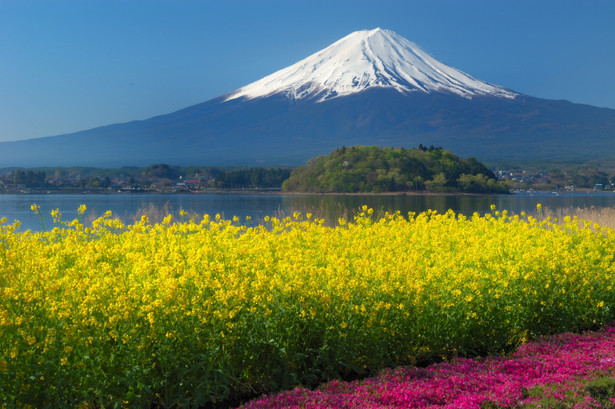 河口湖温泉 ホテルレジーナ河口湖 - 写真 74
