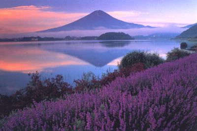 河口湖温泉 ホテルレジーナ河口湖 - 写真 75