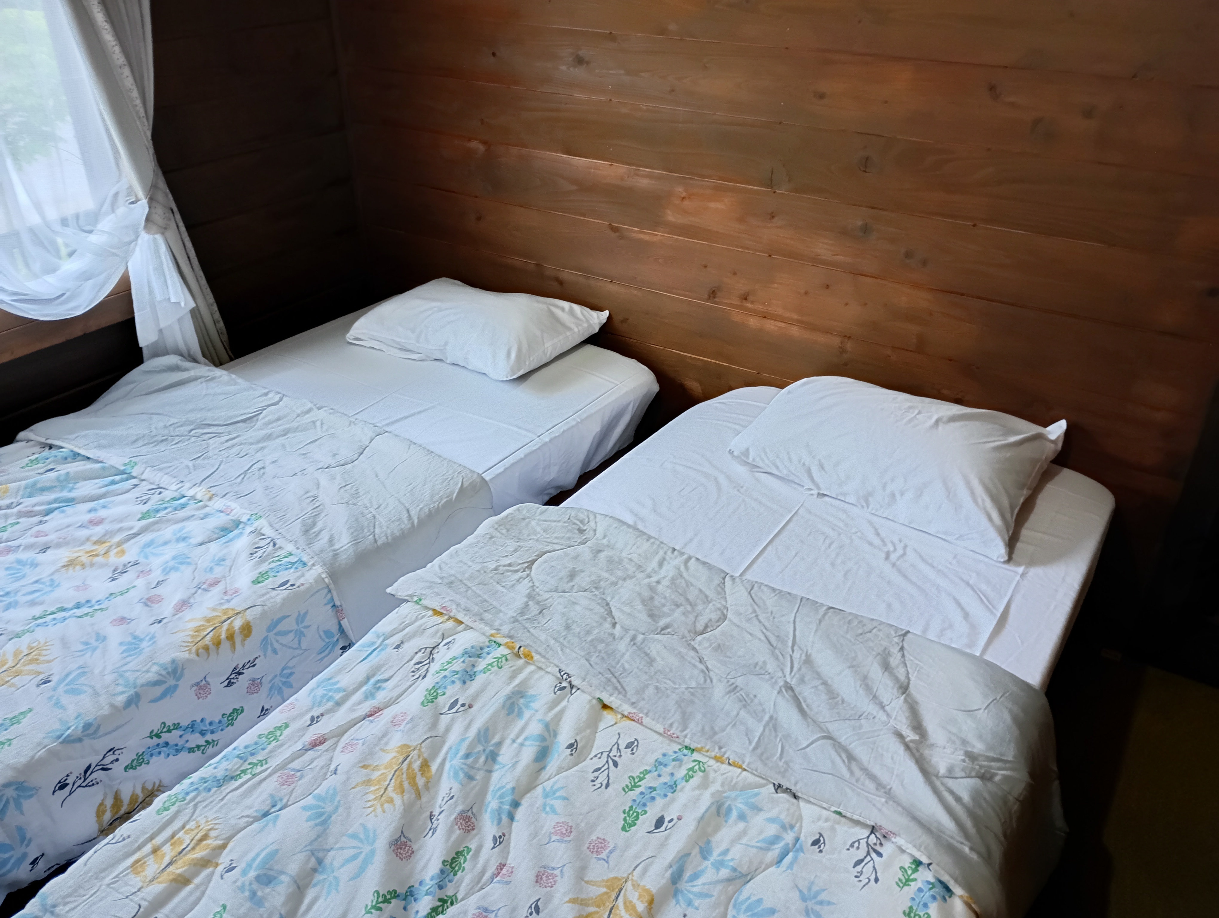 トゥルースリーパー