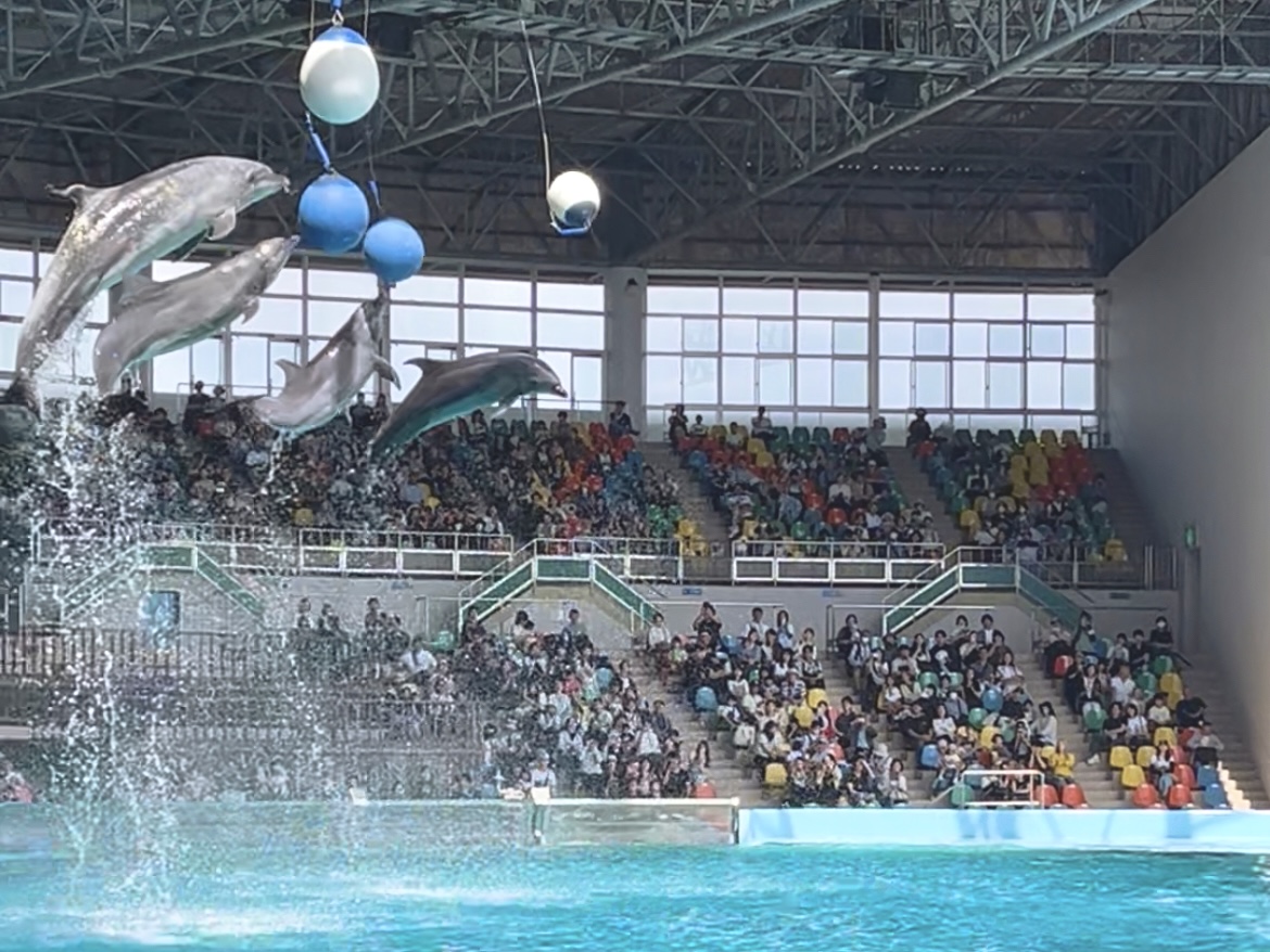 アドベンチャーワールド（車で15分）