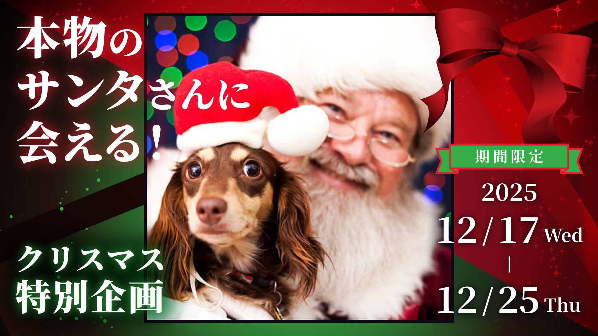 【12/17-25限定】本物のサンタが愛犬に会いに来る！特別なクリスマスプラン＜1泊2食レストラン＞