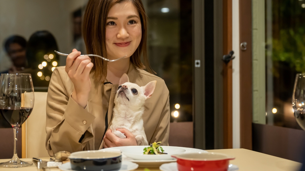 【連泊プラン／5％OFF】ペットや家族と一緒にのんびり♪夕食は異なるメニューでご用意＜レストラン食＞