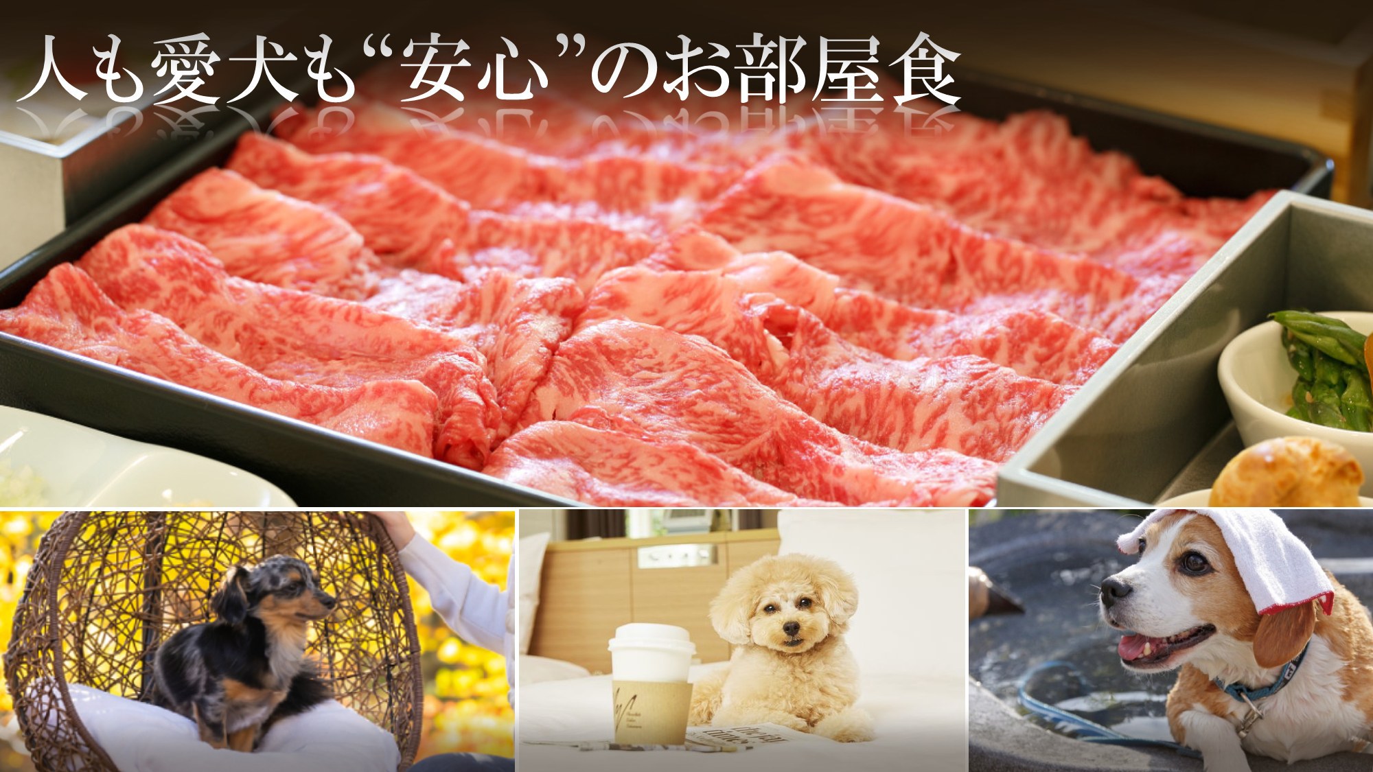 【楽天トラベルサマーSALE】【部屋食プラン／怖がりな小型犬・大型犬も安心】ブランド牛しゃぶしゃぶ