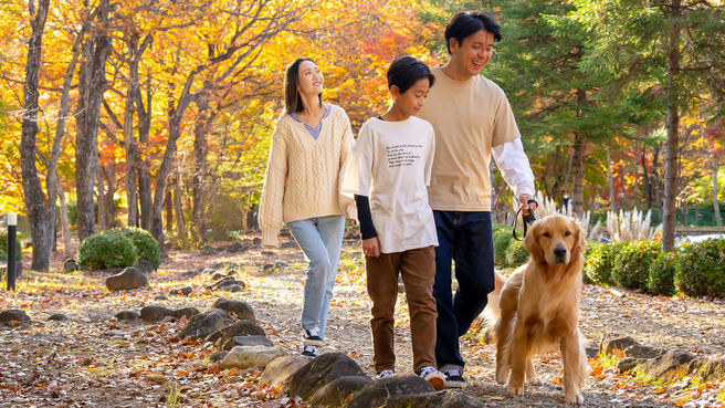 【楽天トラベルサマーSALE】【部屋食プラン／怖がりな小型犬・大型犬も安心】栃木県産牛・卵のすき焼き