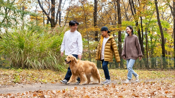 【早割サプライズ！】2〜3月限定☆15％OFFで愛犬とお得に旅行 ♪温泉付コテージも＜レストラン食＞