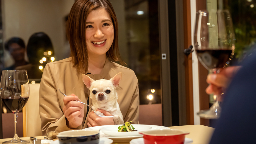 【夏季限定】＜ワンちゃんプール付コテージ＞で、愛犬も夏バテ解消＆大喜び！ご夕食は「欧風コース料理」