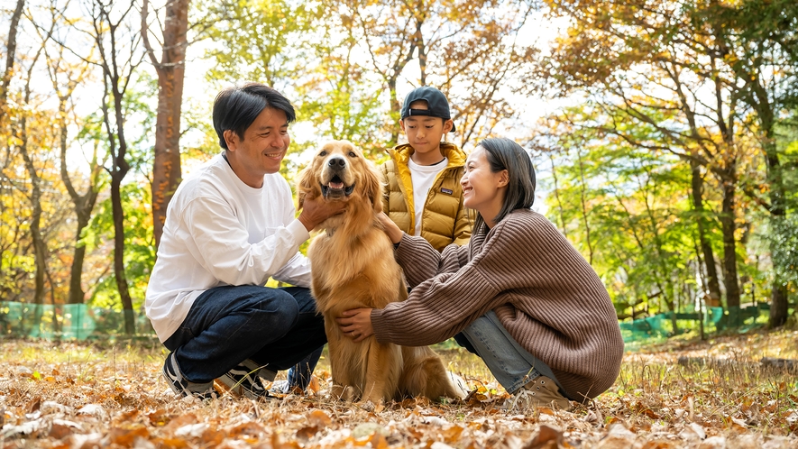 一緒に旅すれば、もっと好きになる。