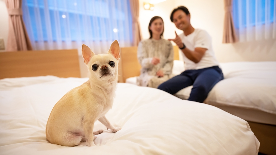 ワンちゃんも飼い主さんも、のびのびと過ごせる快適なお部屋をご用意しております。