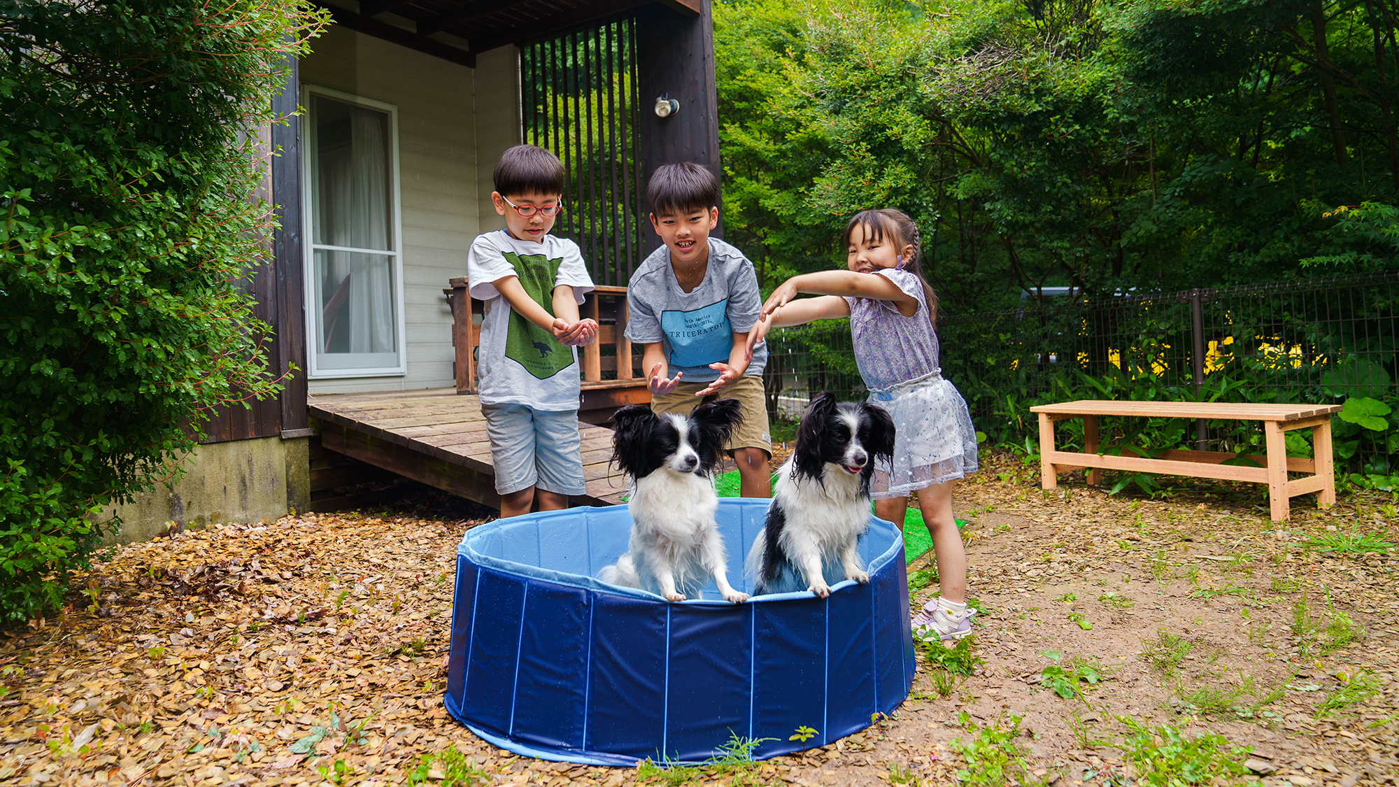 夏限定♪涼しくて嬉しい愛犬用プール