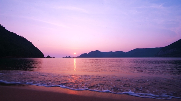 佐津温泉 御宿 たつみ 宿泊予約 楽天トラベル 佐津温泉 御宿 たつみ 宿泊予約 楽天トラベル