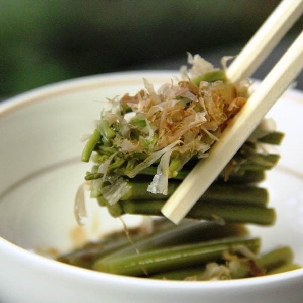 宿坊 国民宿舎 jyh横倉 旅館横倉 設備 アメニティ 基本情報 楽天トラベル 宿坊 国民宿舎 jyh横倉 旅館横倉 設備 アメニティ 基本情報 楽天トラベル