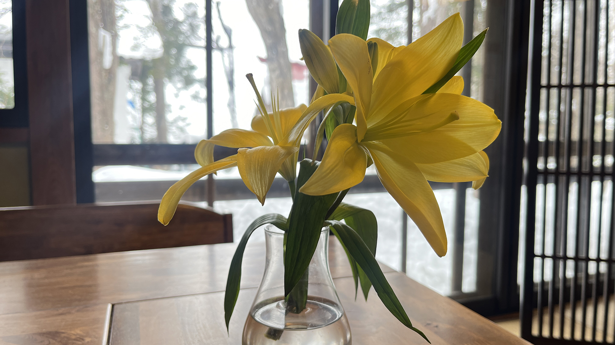 ◇館内には季節のお花を飾っています