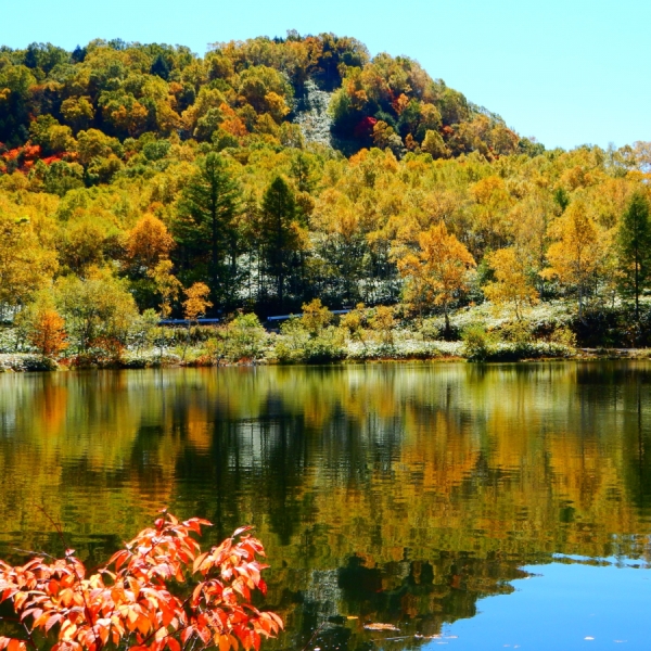 宿坊 国民宿舎 jyh横倉 旅館横倉 設備 アメニティ 基本情報 楽天トラベル 宿坊 国民宿舎 jyh横倉 旅館横倉 設備 アメニティ 基本情報 楽天トラベル