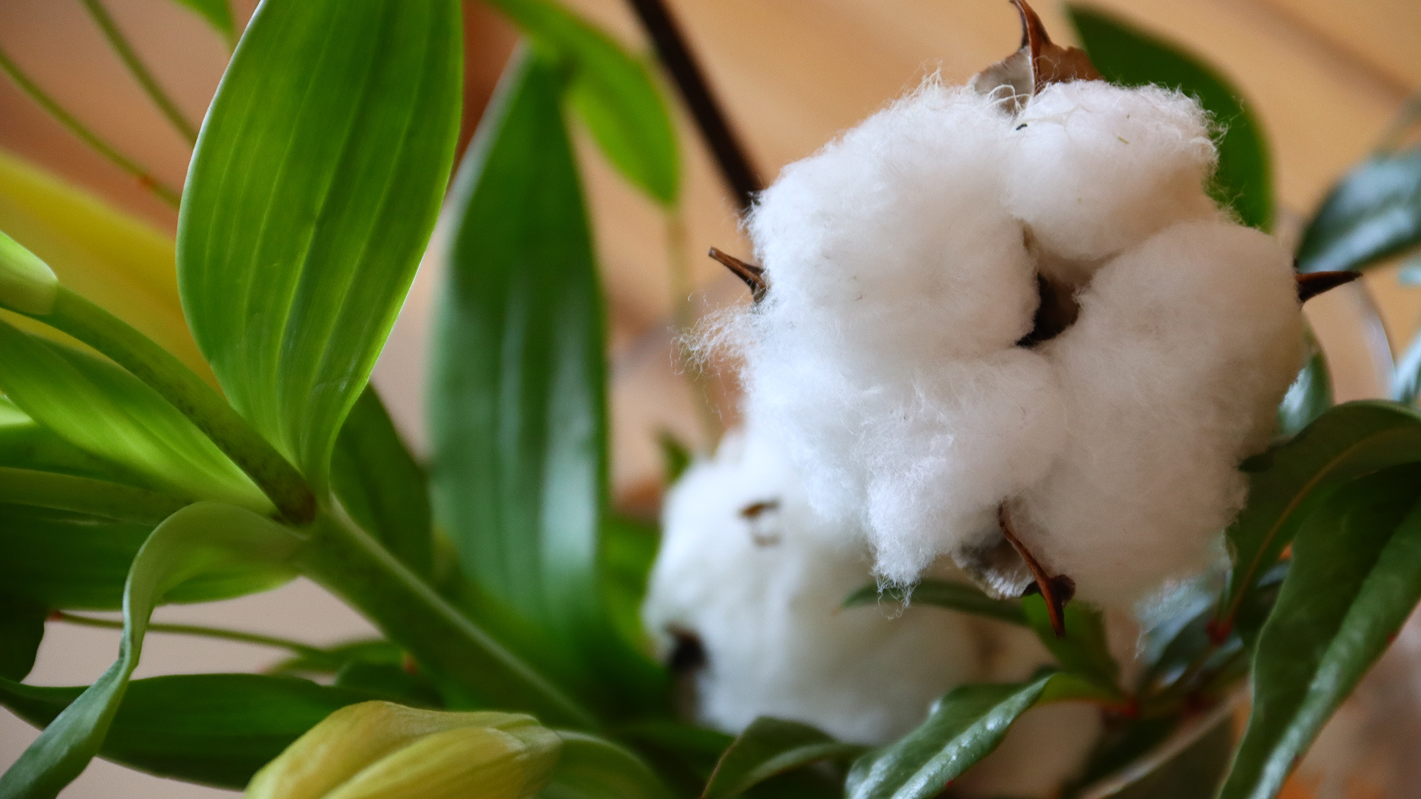 館内には季節のお花を飾っています