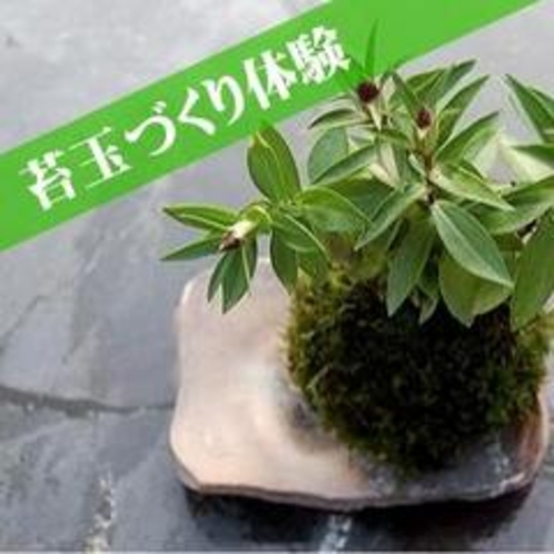 植樹