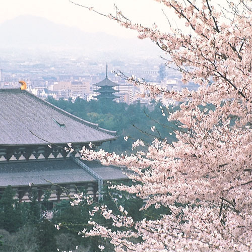* Spring Todaiji Temple