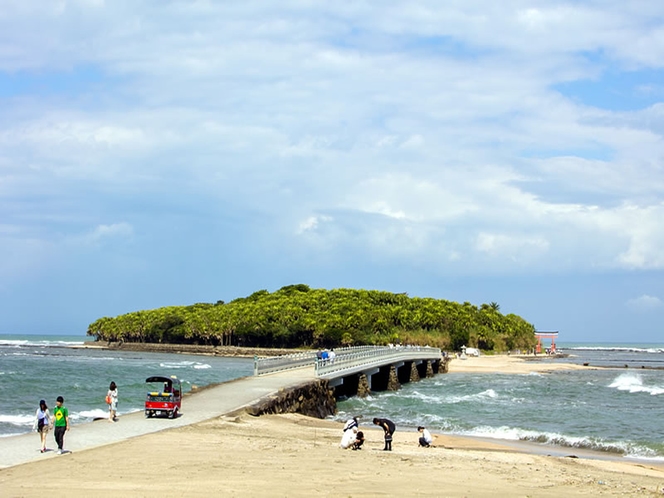 青島【写真提供：宮崎県観光協会】