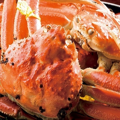 味覚の王者　越前がに「蟹会席」の膳　茹でズワイ蟹お１人に１杯付き