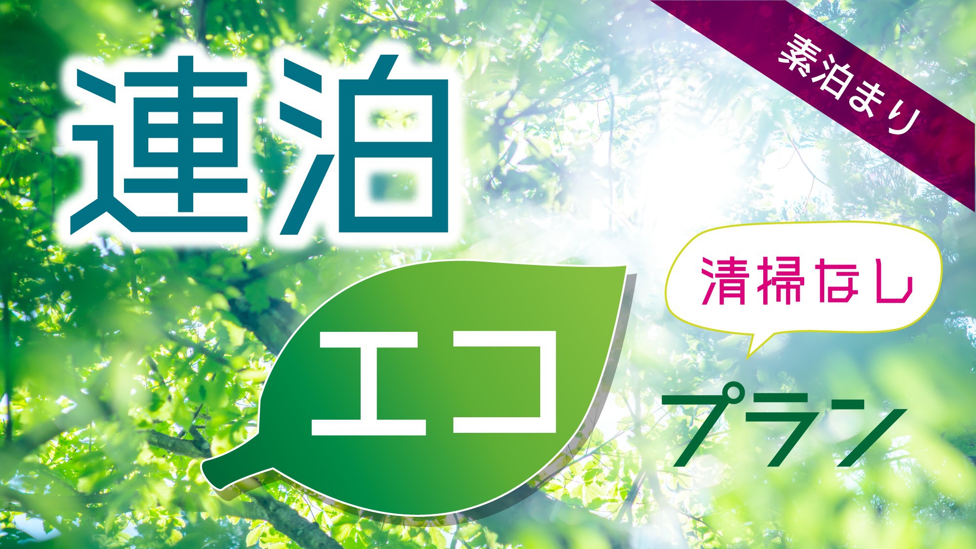 【連泊ECO割】お掃除は3日に1回のECOプラン＜素泊まり＞