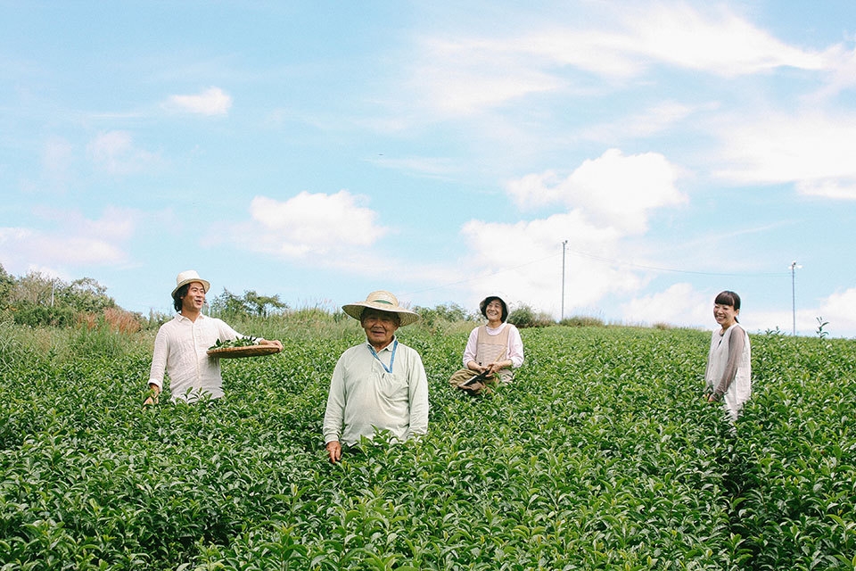 【ガイドと歩く奈良散歩〜産地を旅する〜】夏の月ヶ瀬で味わう茶畑さんぽと利き茶体験（昼・朝食付）