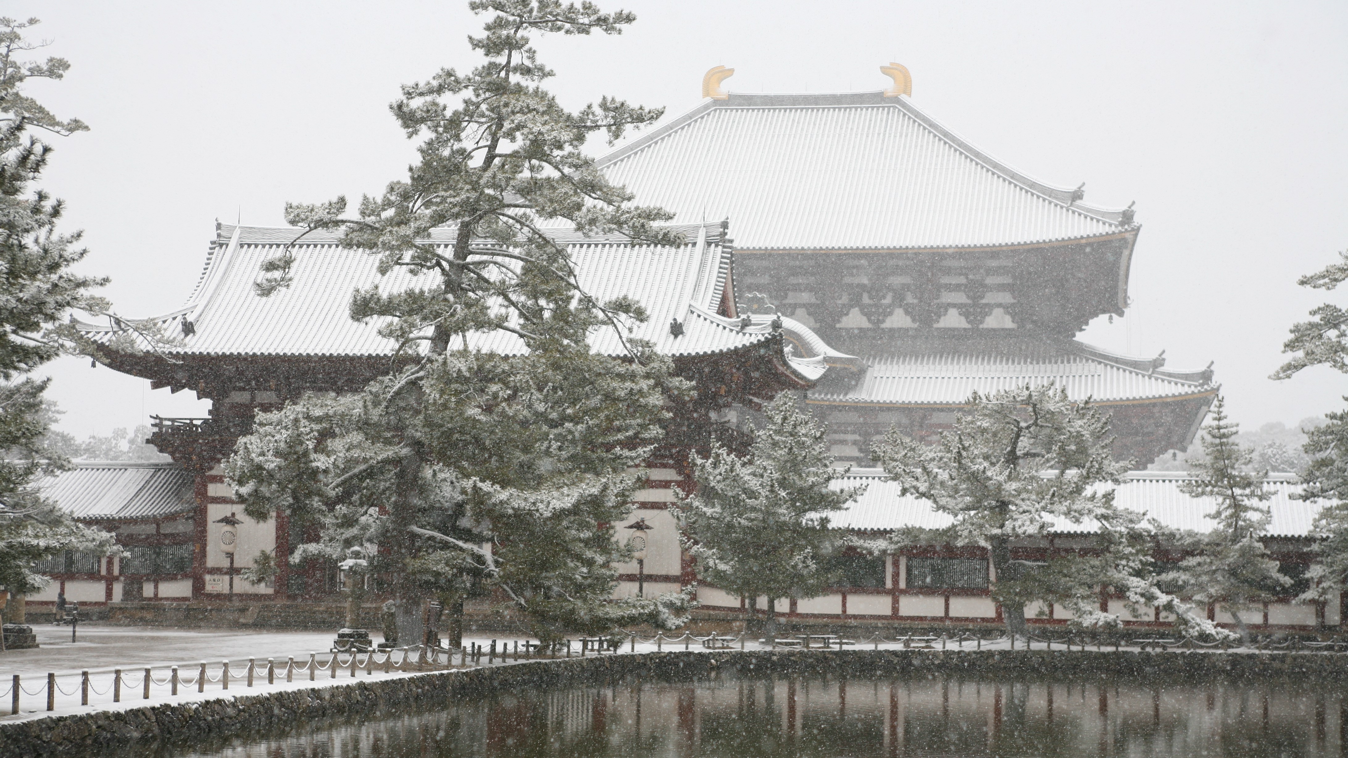 東大寺大仏殿の雪景色（ホテルから車で約6分）