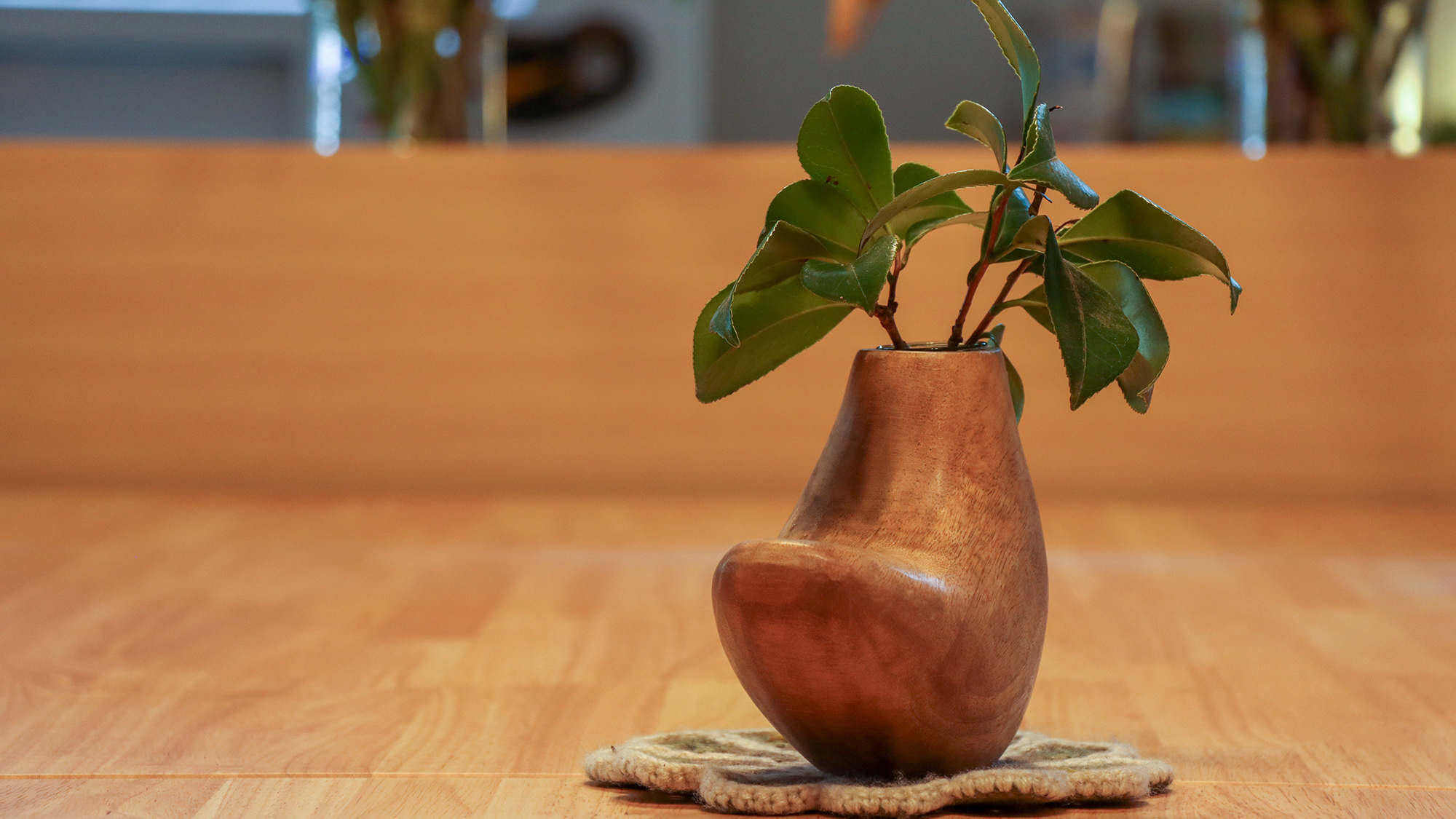 #ロビー　心に癒やしを与えてくれる観葉植物。