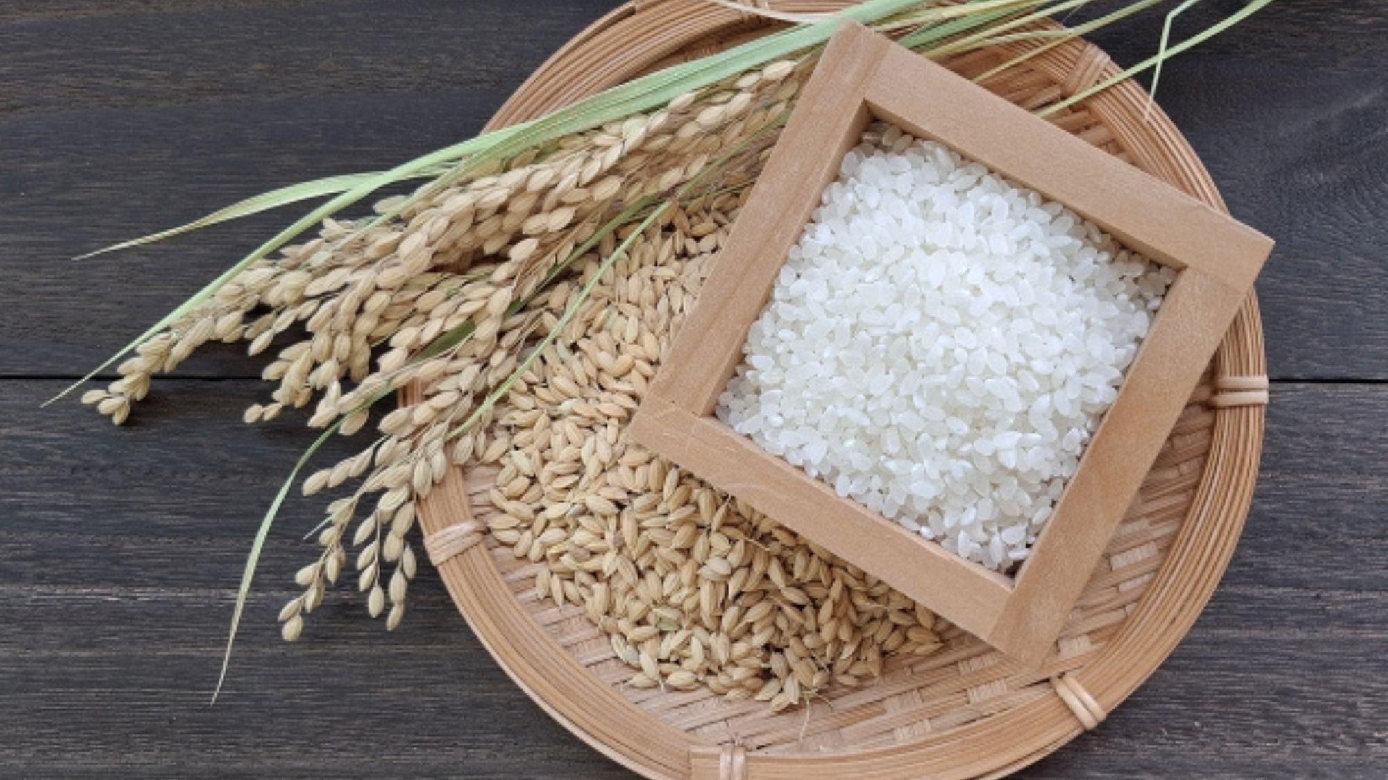 【冬季限定】お米のプレゼント＆2200円引き！身も心も癒す温泉旅を満喫＜★スタンダード会席＞