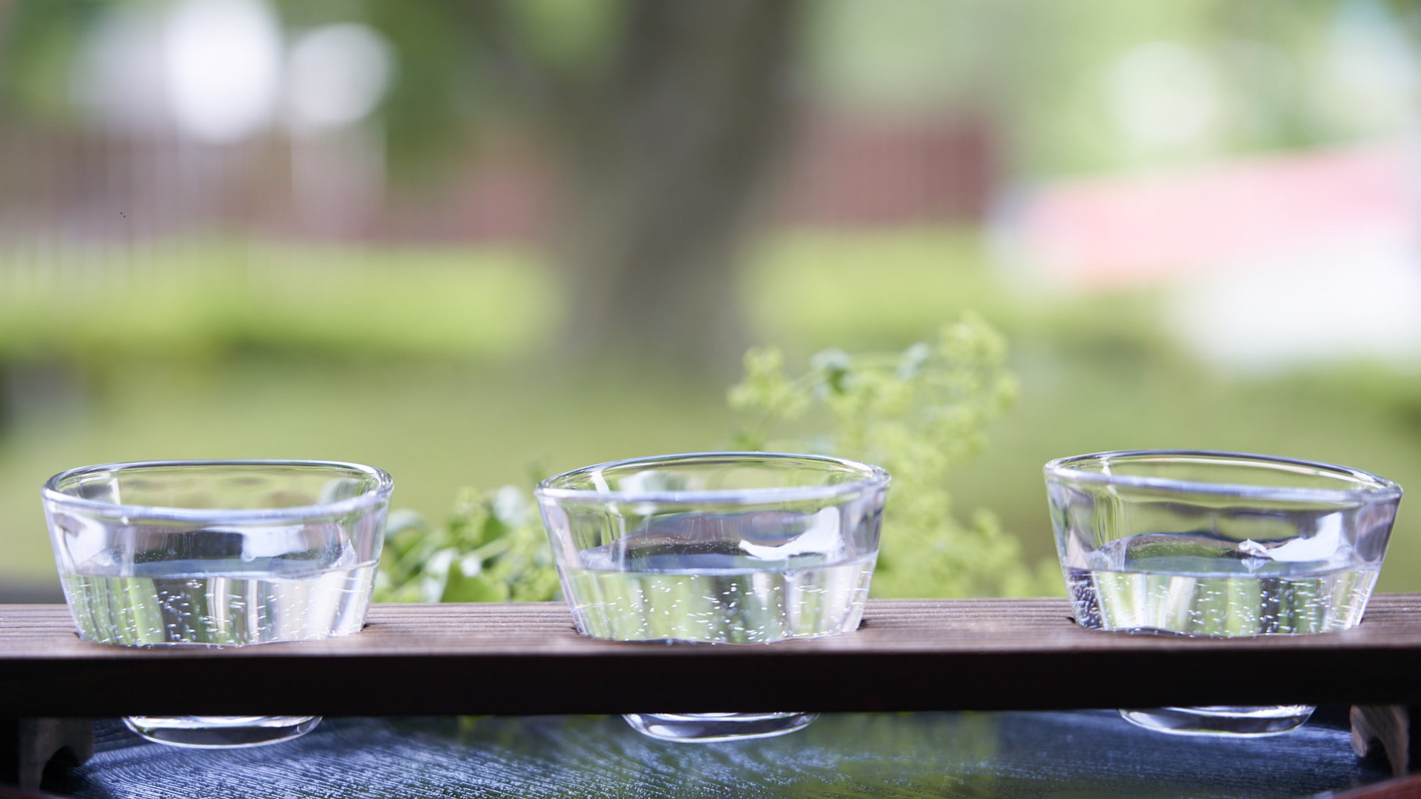 【ひとり旅】片道電車代サポート！自然豊かな鳴子で美食と温泉でリフレッシュ旅＜■特選会席＞