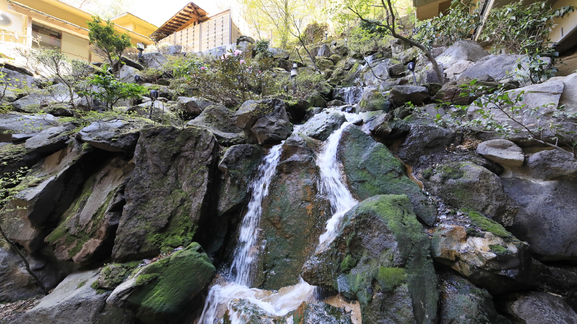 【中庭】小さいながら、清涼感溢れる滝を眺めて