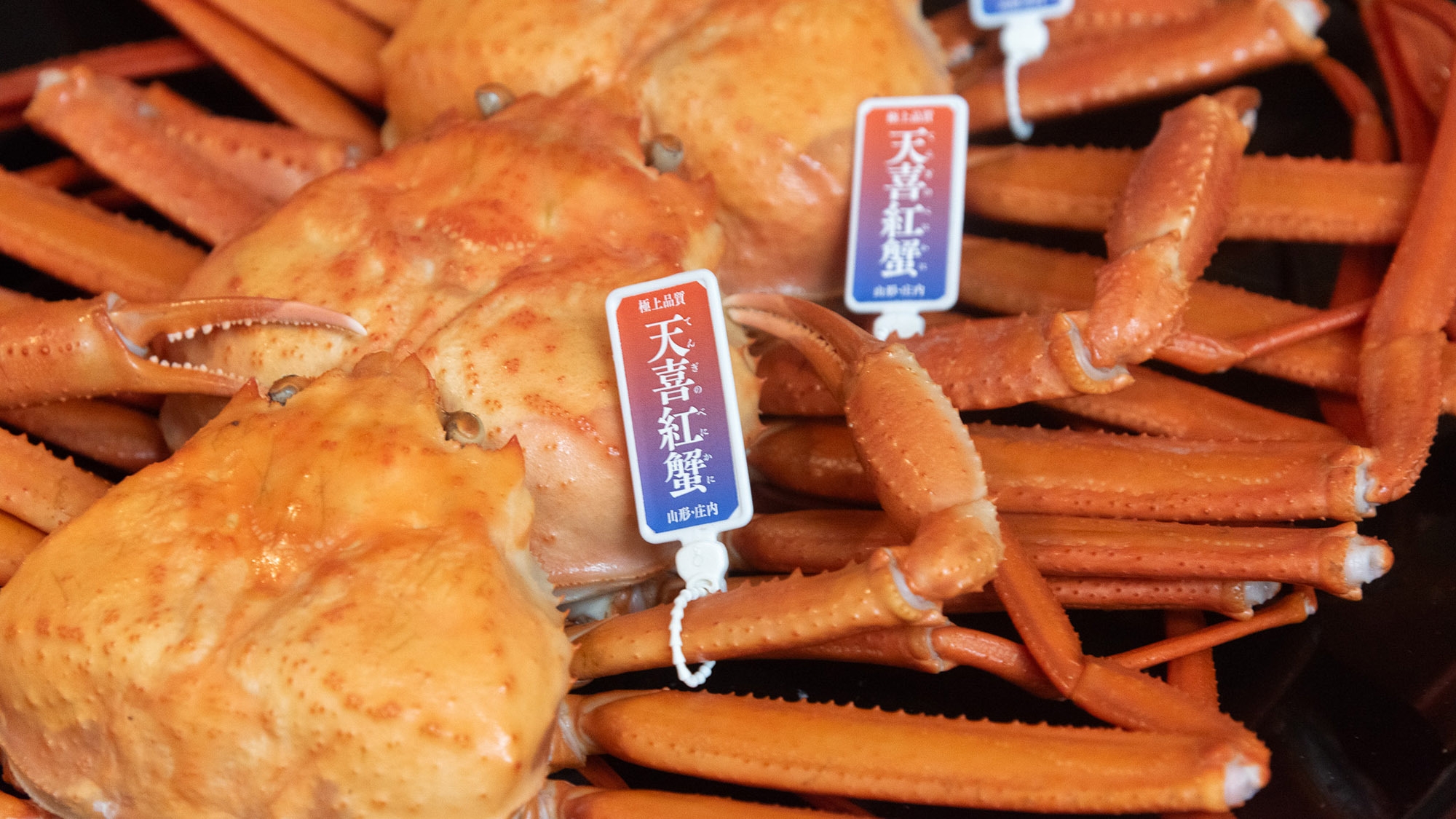 【2食付】冬◆自慢の温泉と夕食は地元ブランド蟹の「天喜紅蟹（てんぎのべにかに）」を楽しむ 天喜膳