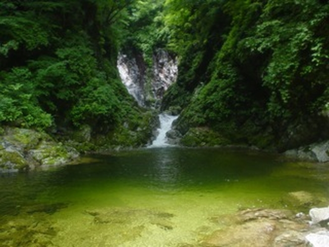 癒しのパワスポ『尾白川渓谷』