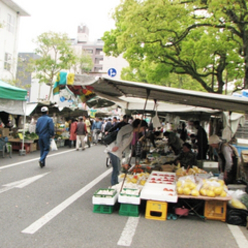 土佐の日曜市　≪当館より徒歩10分≫