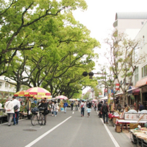 300年以上の歴史がある、お城下市「日曜市」