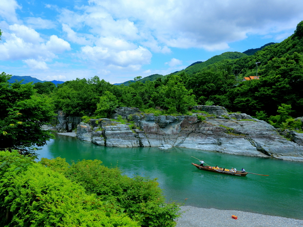 対岸「白鳥島」（7月頃）