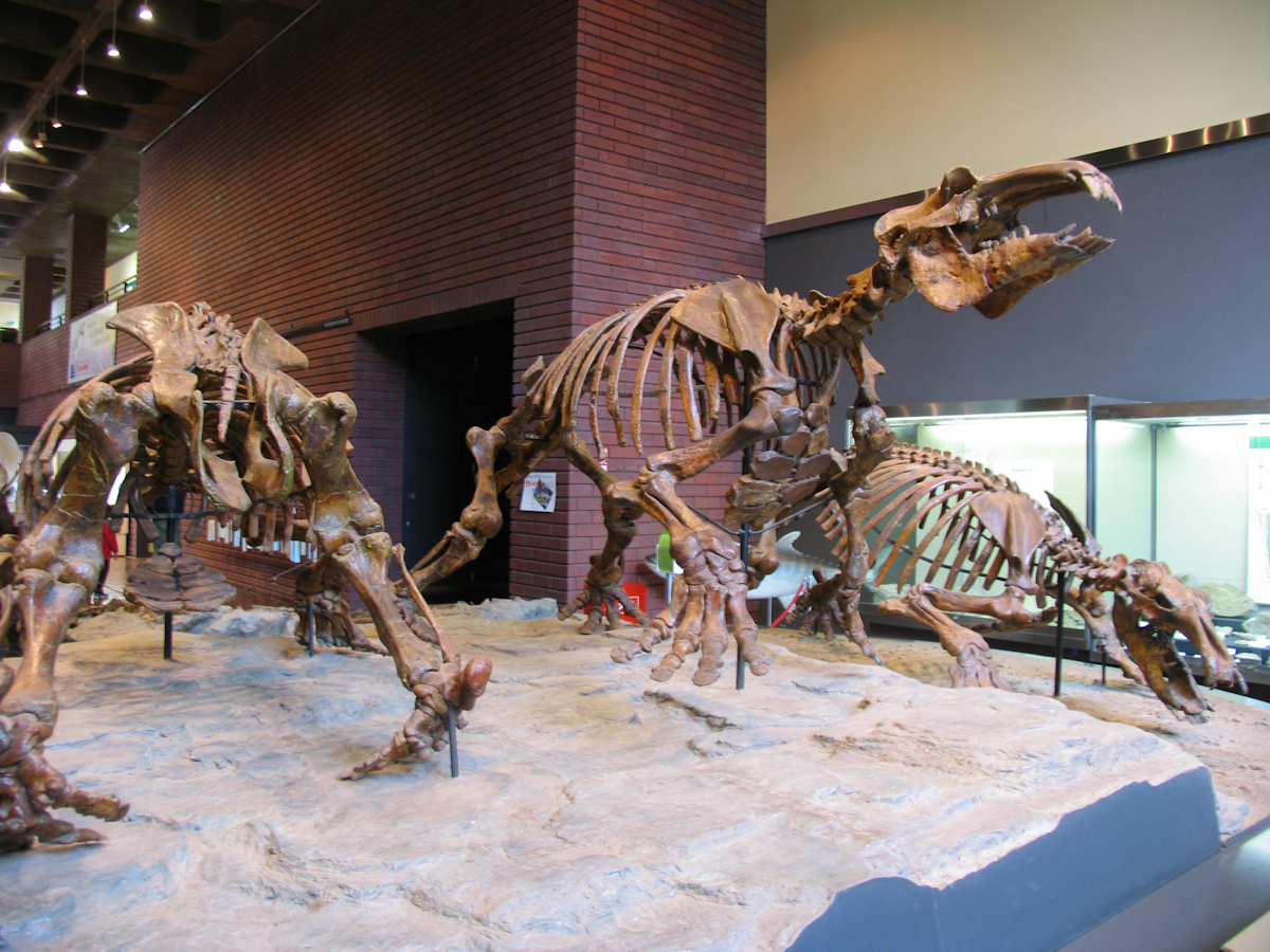自然の博物館では岩・化石・模型などを展示。日本地質学発祥の地で歴史を学ぼう。当館より徒歩15分。