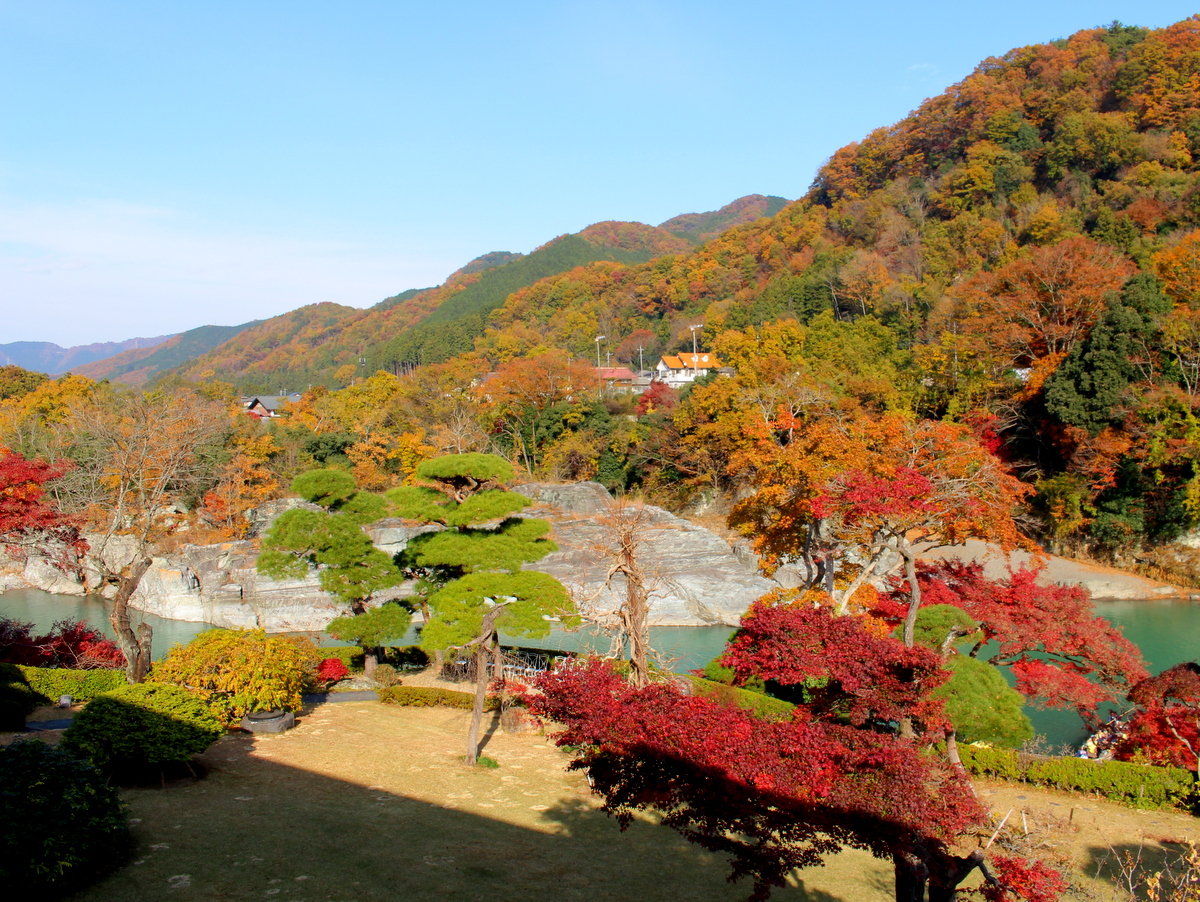 対岸「白鳥島」（11月頃）