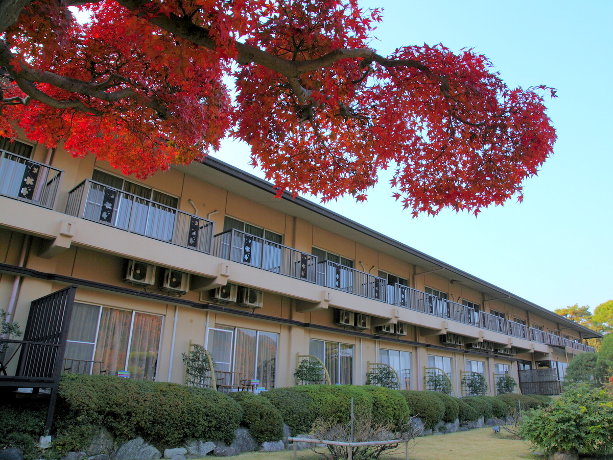 庭園の様子（11月頃）