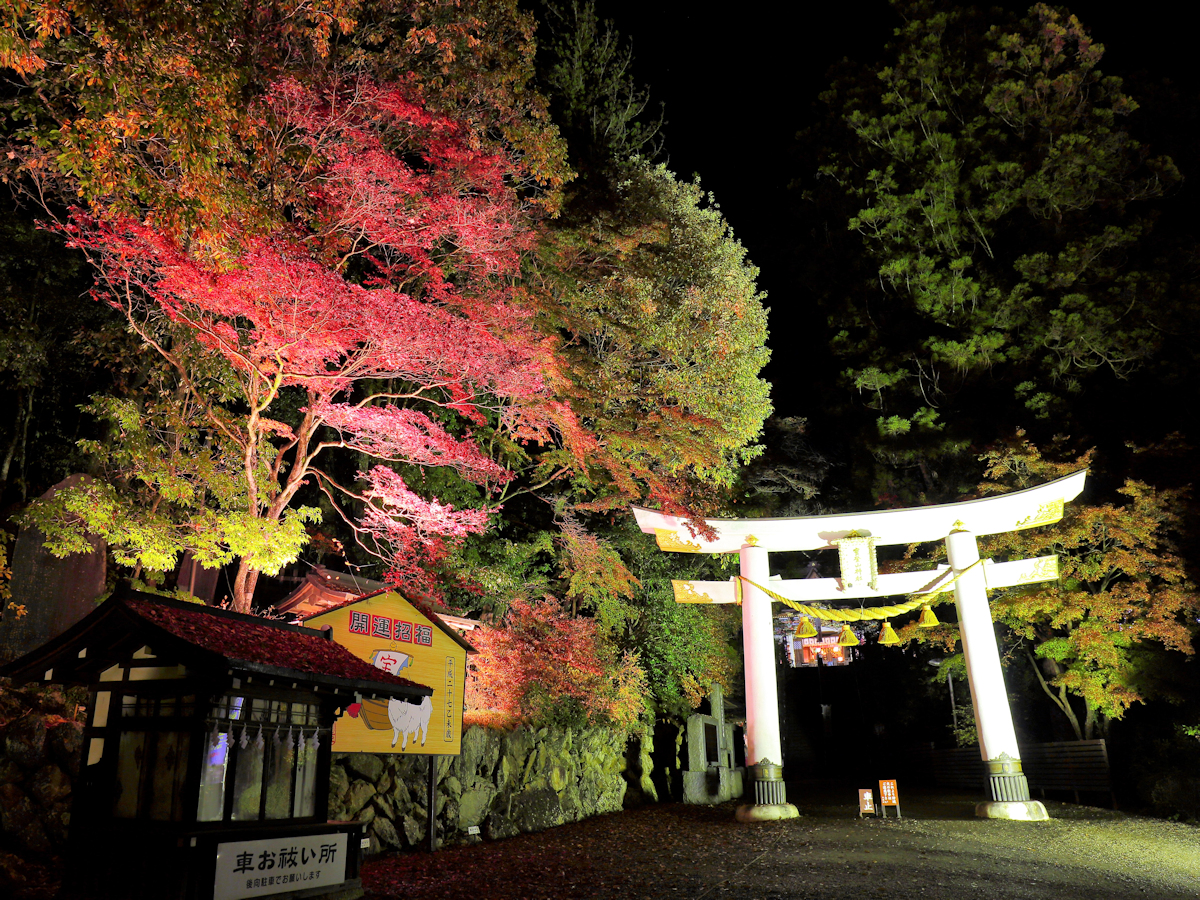 【11月は長瀞紅葉まつり♪】宝登山神社・徒歩15分★夜間はライトアップされます！