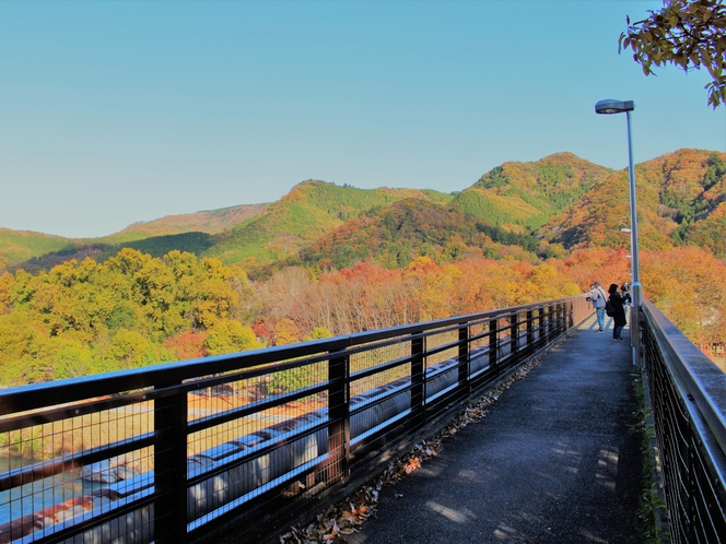 【11月は長瀞紅葉まつり♪】金石水管橋・徒歩15分★歩行者専用なので360度ビューをどうぞ。
