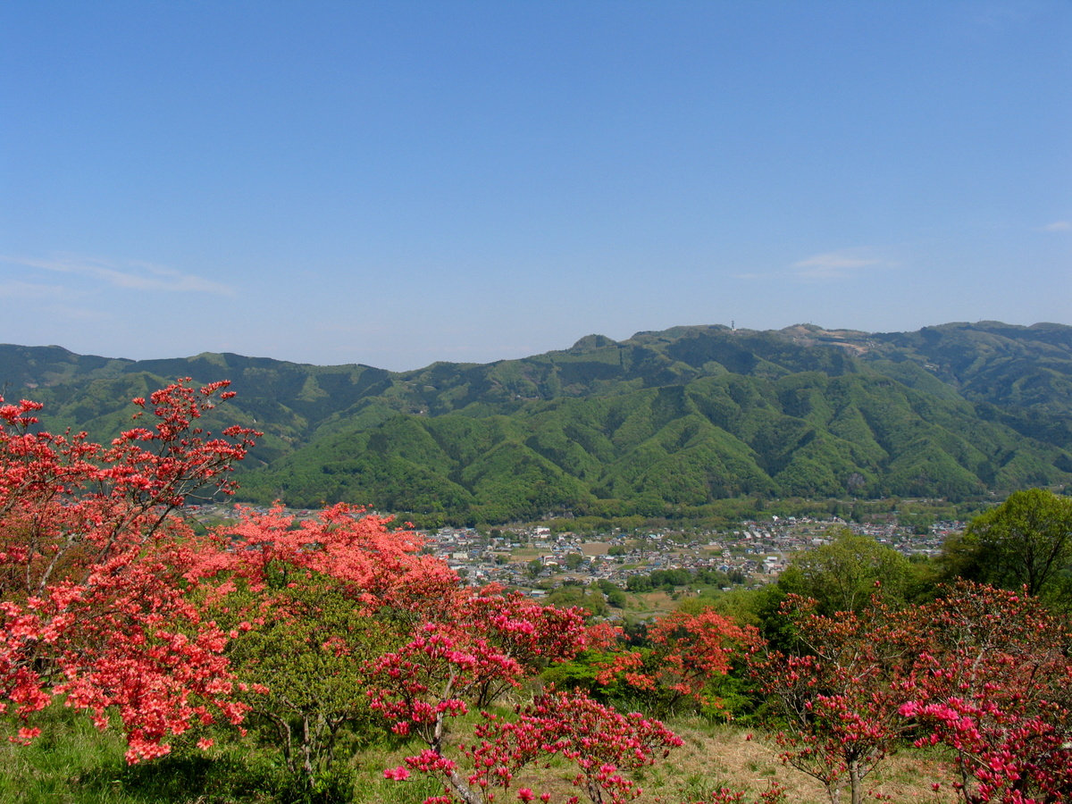 【４・５月】５月２日は山頂宝登山神社奥宮の大祭。ツツジまつりとも言われます。山頂から長瀞を見下ろす。