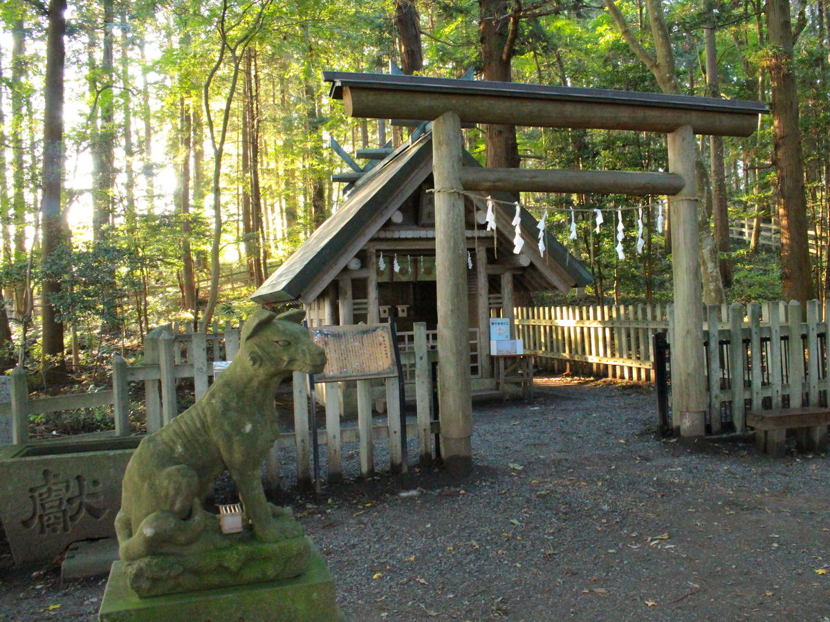 宝登山頂にある宝登山神社奥宮は神秘的な雰囲気。日本武尊の神話にも登場する狼の狛犬。