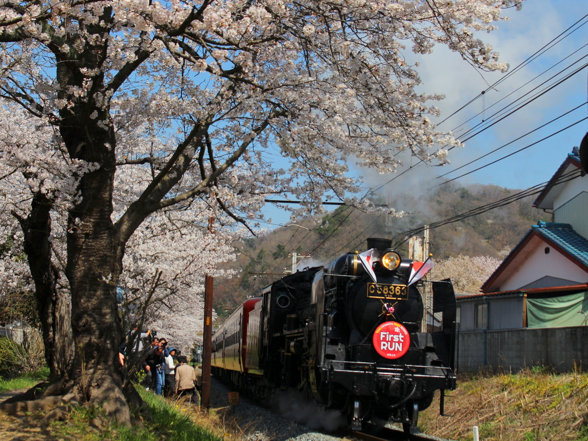 【４月】上長瀞・徒歩１５分★３月末よりＳＬ運行開始！上長瀞のさくら小路は、SLの撮影スポットです。