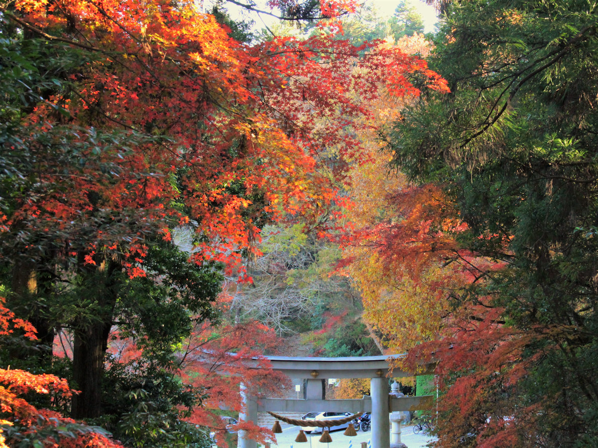 【11月は長瀞紅葉まつり♪】宝登山神社・徒歩15分★日中に行くなら午前からお昼がおすすめ。