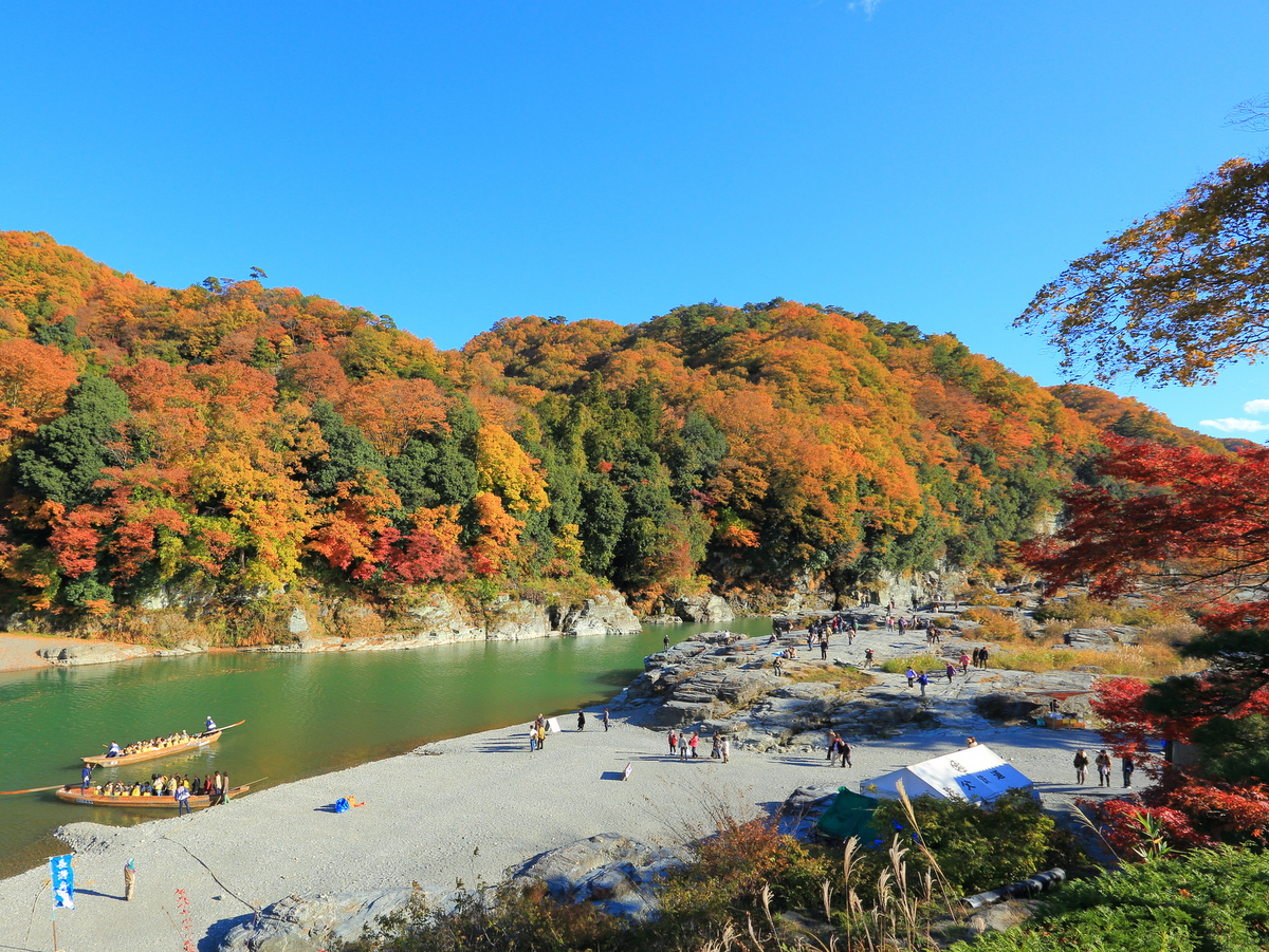 庭園から見た岩畳（11月頃）