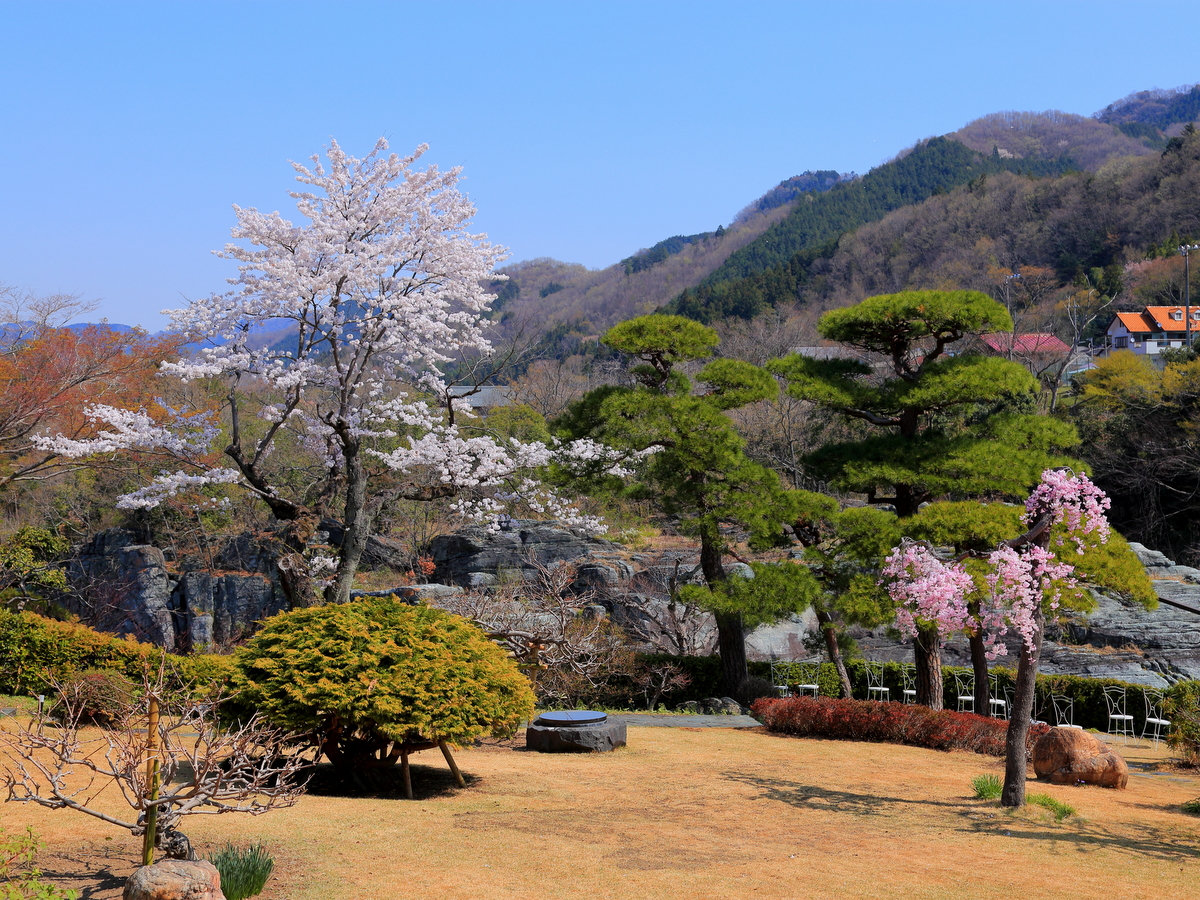 客室から見た庭園（4月頃）