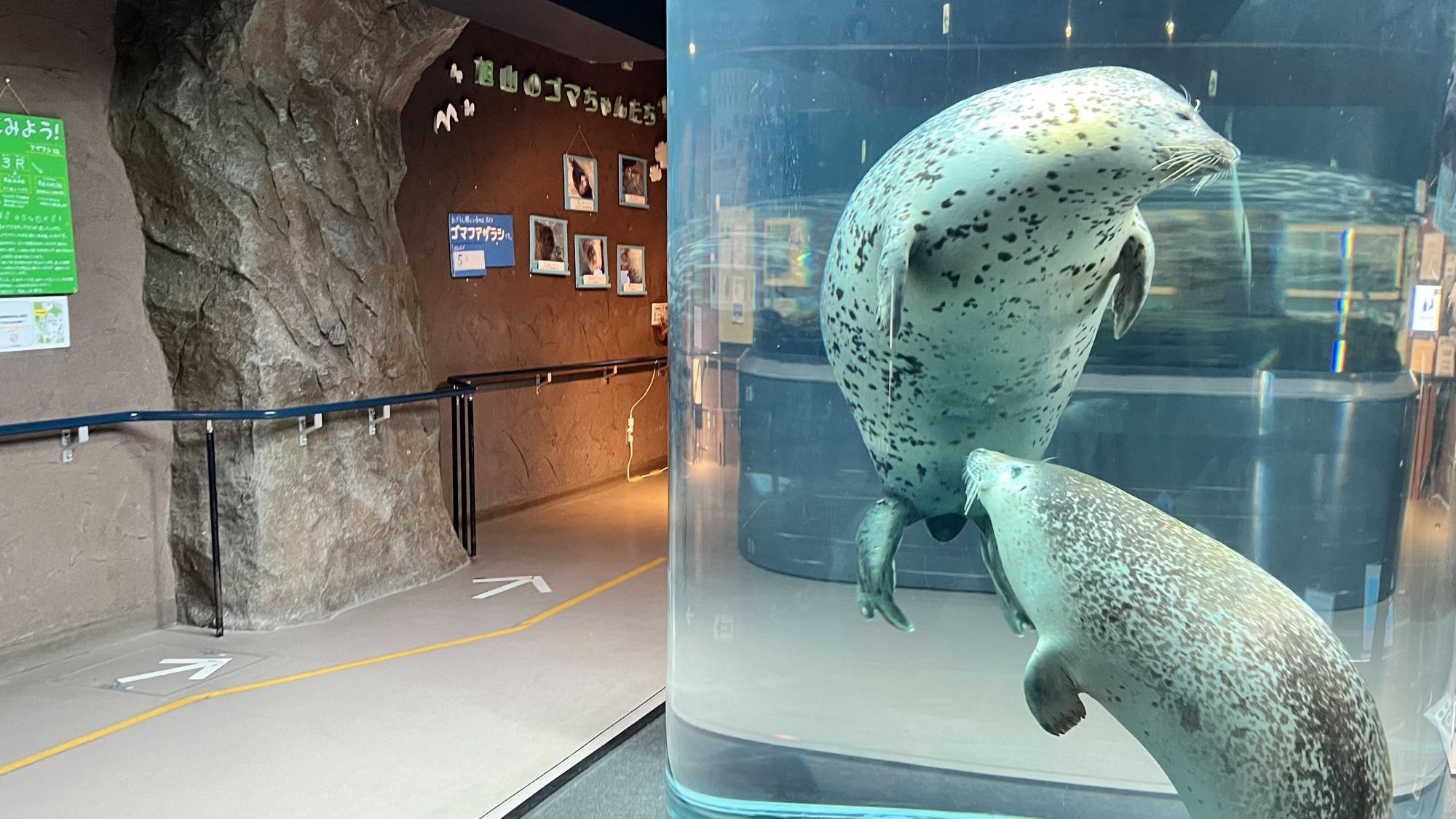 【旭山動物園入園券付き】繁華街サンロクに一番近いホテル（素泊まり・朝食無料サービス） Wi-Fi無料