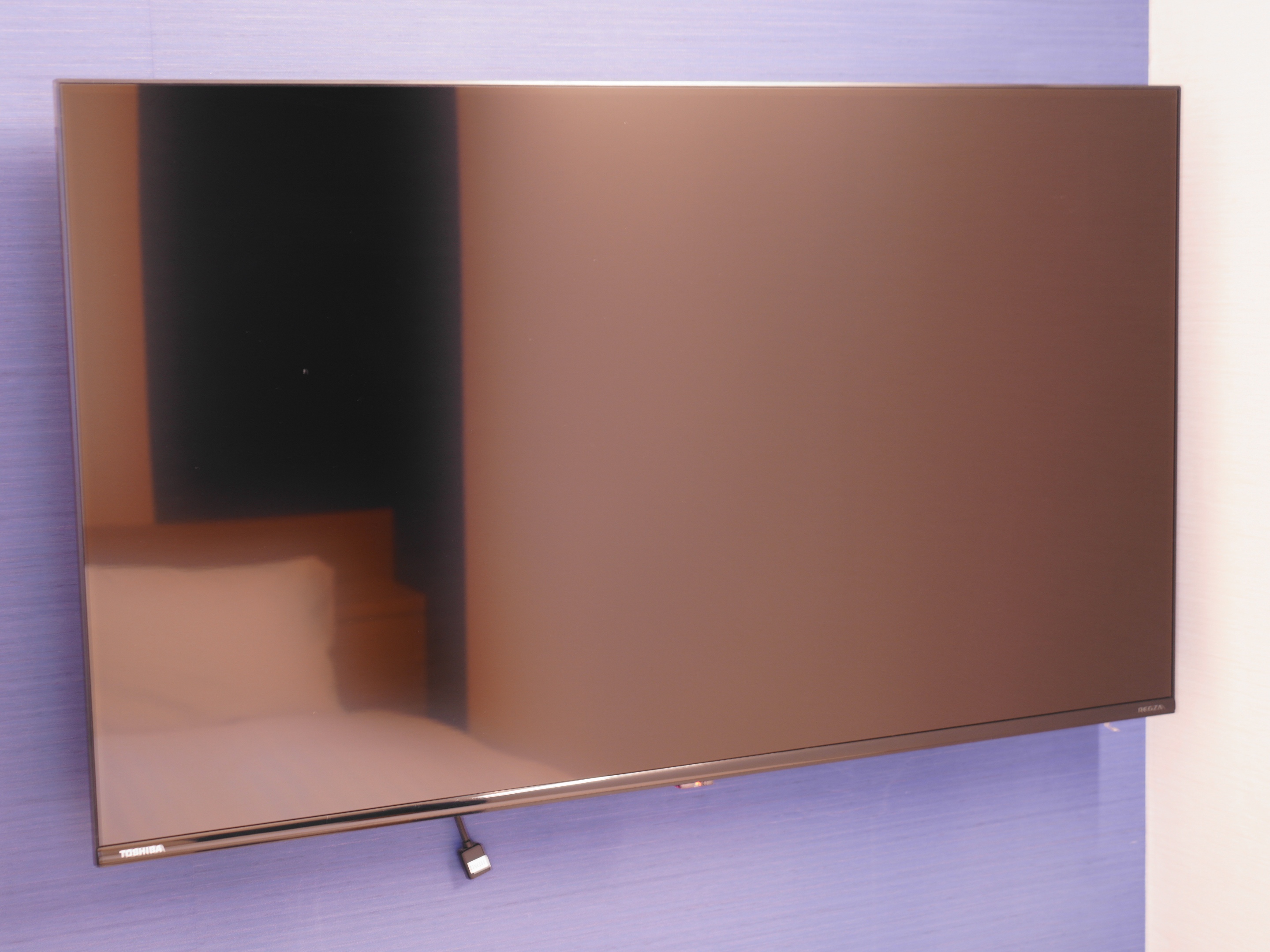 【客室】43インチの大型TV