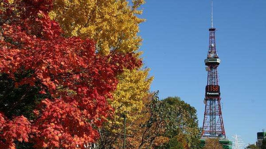 大通公園を散策しながら黄葉・紅葉をお楽しみください♪