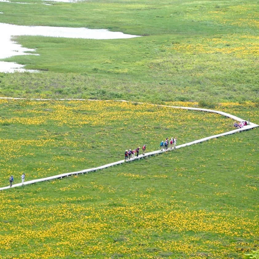 【早朝チェックアウト】早起きして裏磐梯・会津を満喫！夕食付朝食なしプラン　福島県また来て割使えます！
